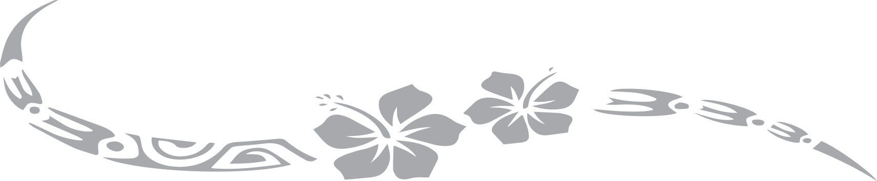 fleur hibiscus website