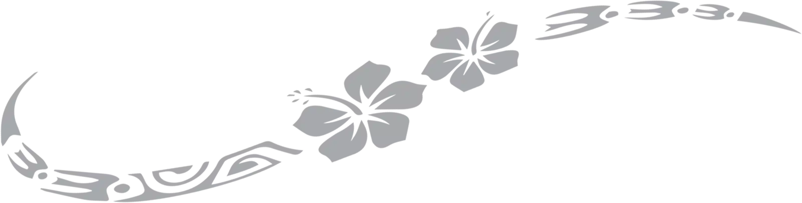 hibiscus 1