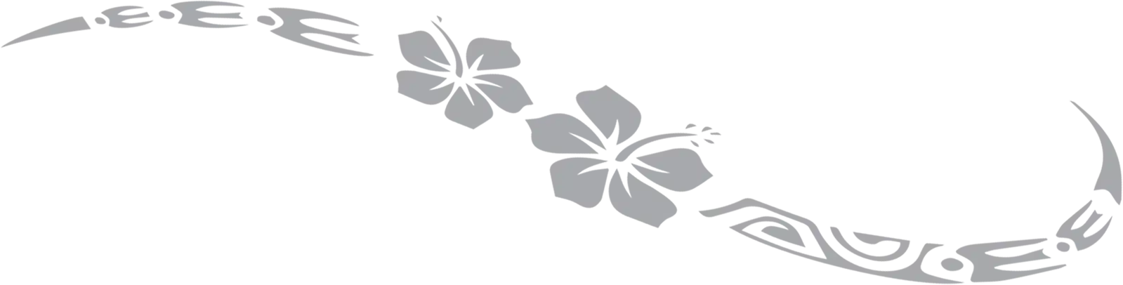 hibiscus 2